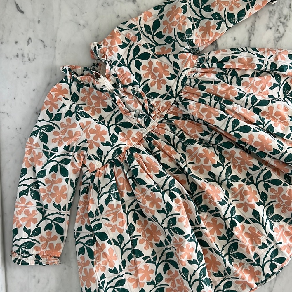 Pink Chicken 3-6 month adorable fall dress